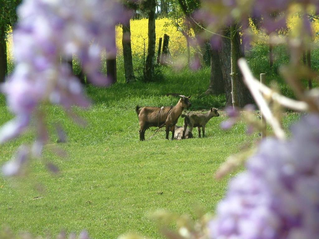 Maison Prairie Bonheur Magny-les-Hameaux Cameră foto